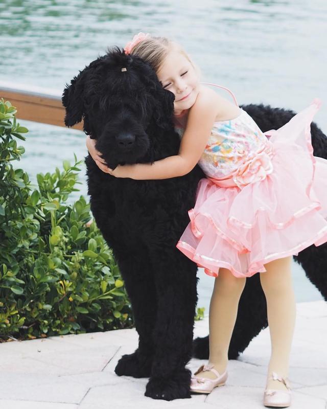 Ребенок обнимает собаку породы Русский черный терьер